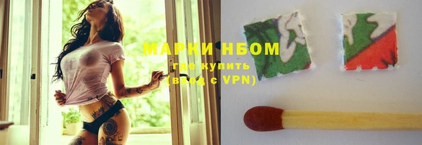 индика Алзамай