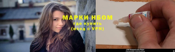 индика Алзамай