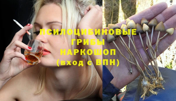 прущий лед Алексин
