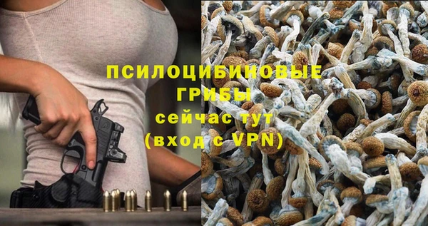 индика Алзамай