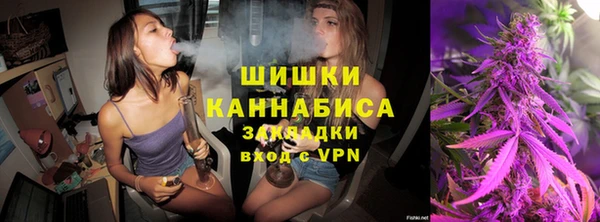 индика Алзамай
