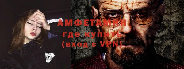 индика Алзамай
