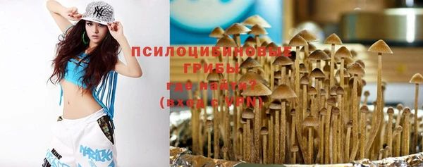 дурь Алексеевка