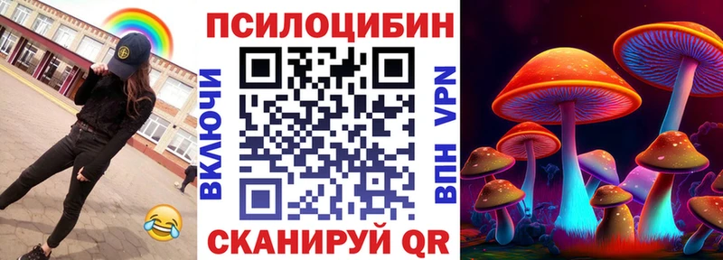 Псилоцибиновые грибы Cubensis  где купить   Катав-Ивановск 